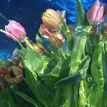 ".mes tulipes." başlıklı Fotoğraf Aquartistiq tarafından, Orijinal sanat, Dijital Fotoğrafçılık