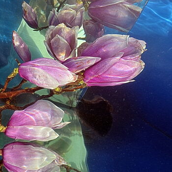 Photographie intitulée "magnolia .." par Aquartistiq, Œuvre d'art originale, Photographie numérique