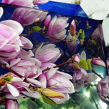 Photography titled "Magnolias..." by Aquartistiq, Original Artwork, Digital Photography