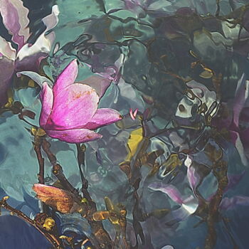 Fotografia zatytułowany „tulipes...” autorstwa Aquartistiq, Oryginalna praca, Fotografia cyfrowa