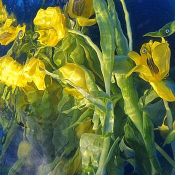 Fotografia intitolato "bleu jaune et vert" da Aquartistiq, Opera d'arte originale, Fotografia digitale