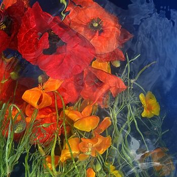 Photographie intitulée "rouge orange." par Aquartistiq, Œuvre d'art originale, Photographie numérique