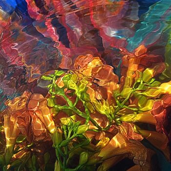 Photographie intitulée "water colours" par Aquartistiq, Œuvre d'art originale, Photographie numérique