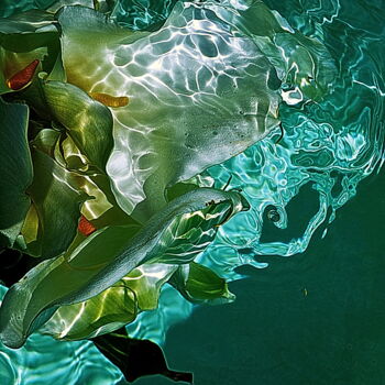 Photographie intitulée "mélange d'arums" par Aquartistiq, Œuvre d'art originale, Photographie numérique