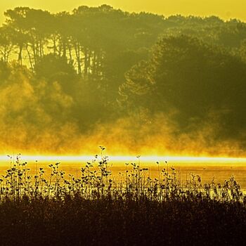 Photography titled "brouillard et lac" by Aquartistiq, Original Artwork, Digital Photography