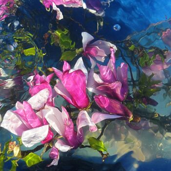 Фотография под названием "magnolias  bis" - Aquartistiq, Подлинное произведение искусства, Цифровая фотография