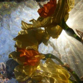 Fotografie mit dem Titel "fleurs4" von Aquartistiq, Original-Kunstwerk