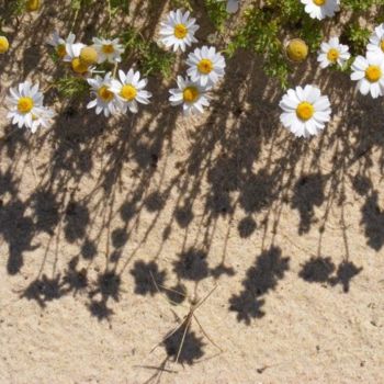 Fotografia zatytułowany „fleurs” autorstwa Aquartistiq, Oryginalna praca