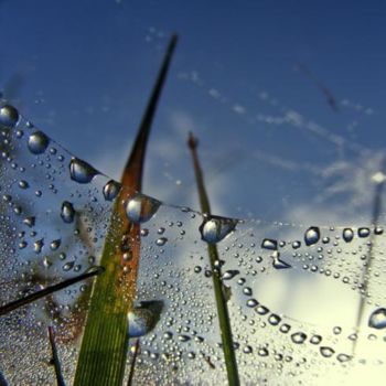 Photographie intitulée "toile" par Aquartistiq, Œuvre d'art originale