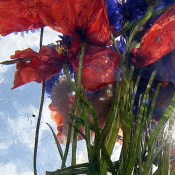 Photographie intitulée "bleuets et rouges" par Aquartistiq, Œuvre d'art originale, Photographie numérique