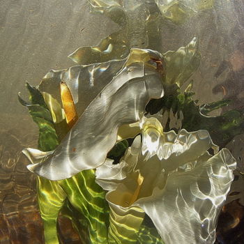 摄影 标题为“arums aqua.” 由Aquartistiq, 原创艺术品, 数码摄影