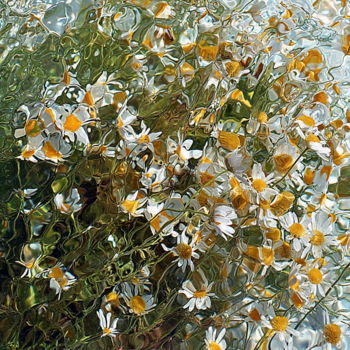 Photographie intitulée "petites marguerites" par Aquartistiq, Œuvre d'art originale, Photographie numérique