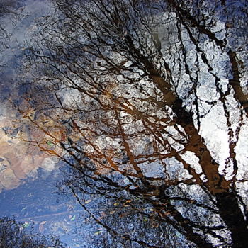Fotografie getiteld "arbre dans l'eau" door Aquartistiq, Origineel Kunstwerk, Digitale fotografie