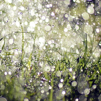 Fotografía titulada "pluie et herbe" por Aquartistiq, Obra de arte original, Fotografía digital