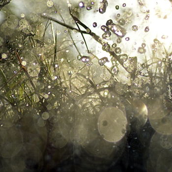 Photographie intitulée "pluie de près" par Aquartistiq, Œuvre d'art originale, Photographie numérique