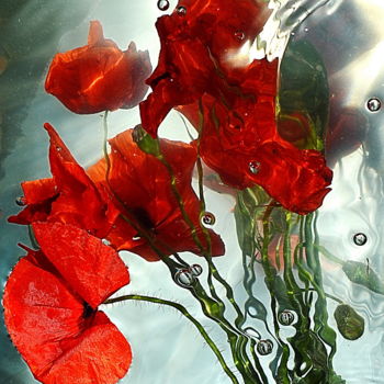 Фотография под названием "poppies......." - Aquartistiq, Подлинное произведение искусства, Цифровая фотография