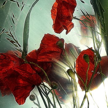 Fotografia zatytułowany „ombres rouges..” autorstwa Aquartistiq, Oryginalna praca, Fotografia cyfrowa