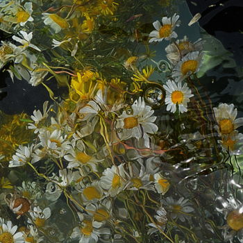 Photographie intitulée "bouquet camomille." par Aquartistiq, Œuvre d'art originale, Photographie numérique