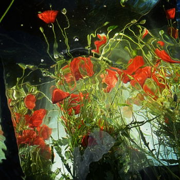 Photographie intitulée "fleurs et eau." par Aquartistiq, Œuvre d'art originale, Photographie numérique