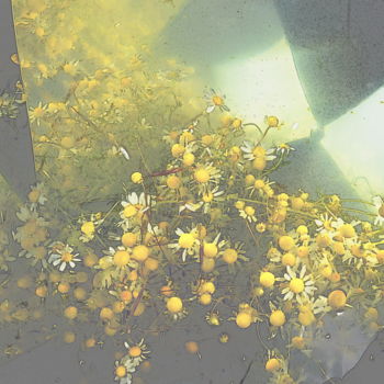 Photographie intitulée "les camomilles." par Aquartistiq, Œuvre d'art originale, Photographie numérique