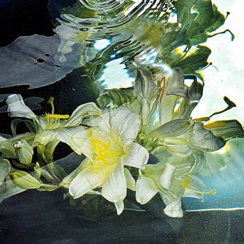 Photographie intitulée "les lys.. ." par Aquartistiq, Œuvre d'art originale, Photographie numérique
