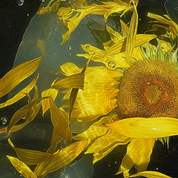 Photographie intitulée "le tournesol" par Aquartistiq, Œuvre d'art originale, Photographie numérique