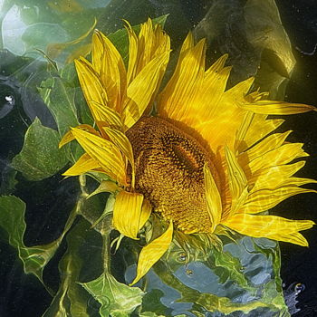 Photographie intitulée "detail. sunflower" par Aquartistiq, Œuvre d'art originale, Photographie numérique