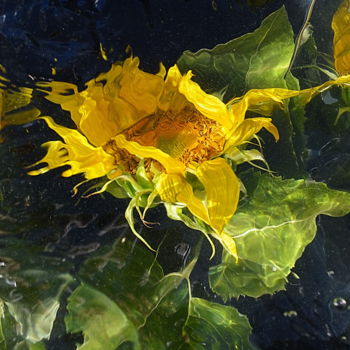 Fotografía titulada "juste une fleur" por Aquartistiq, Obra de arte original, Fotografía digital