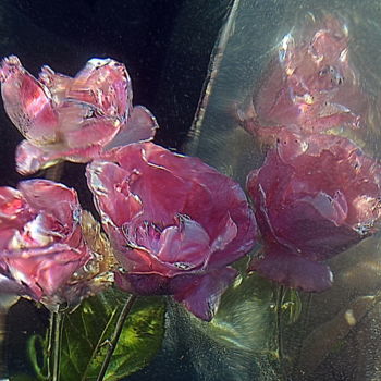 Photography titled "roses miroir" by Aquartistiq, Original Artwork, Digital Photography