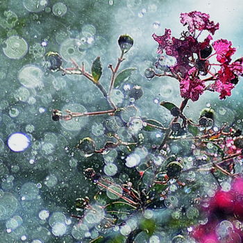Photographie intitulée "pluies..." par Aquartistiq, Œuvre d'art originale, Photographie numérique