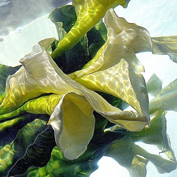 Photography titled "bouquet vert et bla…" by Aquartistiq, Original Artwork, Digital Photography