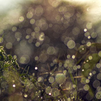 Photographie intitulée "rosée et herbe" par Aquartistiq, Œuvre d'art originale, Photographie numérique