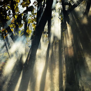 Photographie intitulée "soleil et brouillar…" par Aquartistiq, Œuvre d'art originale, Photographie numérique