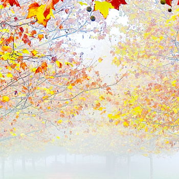 "..automne.." başlıklı Fotoğraf Aquartistiq tarafından, Orijinal sanat, Dijital Fotoğrafçılık