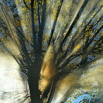 Photographie intitulée "éclats de lumiere..." par Aquartistiq, Œuvre d'art originale, Photographie numérique