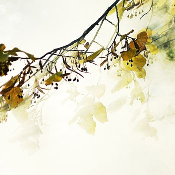 「feuilles et brouill…」というタイトルの写真撮影 Aquartistiqによって, オリジナルのアートワーク, デジタル