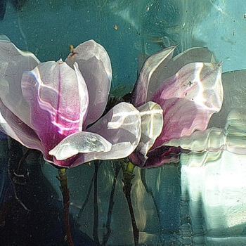 Photographie intitulée "deux fleurs." par Aquartistiq, Œuvre d'art originale, Photographie numérique