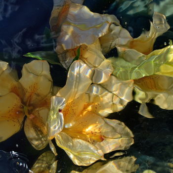 Fotografia intitolato "des fleurs. ." da Aquartistiq, Opera d'arte originale, Fotografia digitale