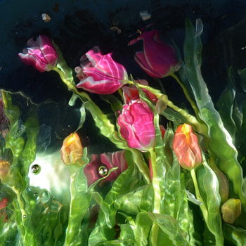 Photography titled "tulipes mélangées.." by Aquartistiq, Original Artwork, Digital Photography