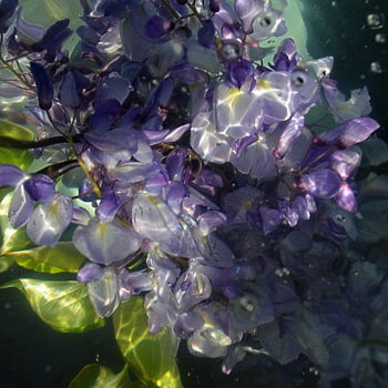 Photographie intitulée "violette fleurs" par Aquartistiq, Œuvre d'art originale, Photographie numérique