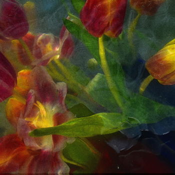 Photographie intitulée "quelques tulipes" par Aquartistiq, Œuvre d'art originale, Photographie numérique