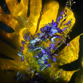 Fotografie getiteld "feuille et fleurs" door Aquartistiq, Origineel Kunstwerk, Digitale fotografie