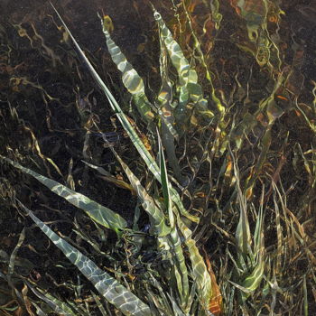Photographie intitulée "herbe et eau" par Aquartistiq, Œuvre d'art originale, Photographie numérique
