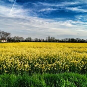 Photography titled "Yellow field" by Arciuli Vito (Bigboh), Original Artwork, Digital Photography