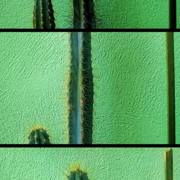 Fotografie getiteld "Cactus puzzle" door Arciuli Vito (Bigboh), Origineel Kunstwerk, Gemanipuleerde fotografie