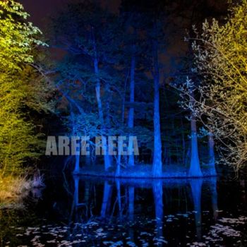 Фотография под названием "Anomalies Ordinaire…" - Aree Reea, Подлинное произведение искусства