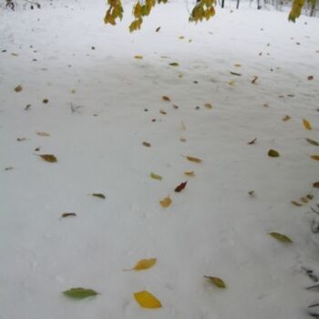 Φωτογραφία με τίτλο "Перший сніг.Листя ч…" από Ariadna, Αυθεντικά έργα τέχνης