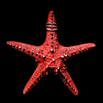 Photographie intitulée "Estrela vermelha" par Ariel Subira, Œuvre d'art originale, Photographie numérique