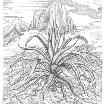 Desenho intitulada "agave poderoso  -th…" por Ariel Valencia Navarro, Obras de arte originais, Caneta de gel