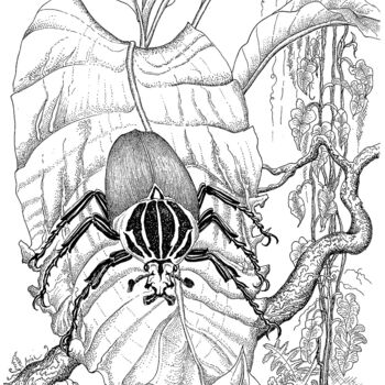 Drawing titled "an scarab goliathus…" by Ariel Valencia Navarro, Original Artwork, Ink